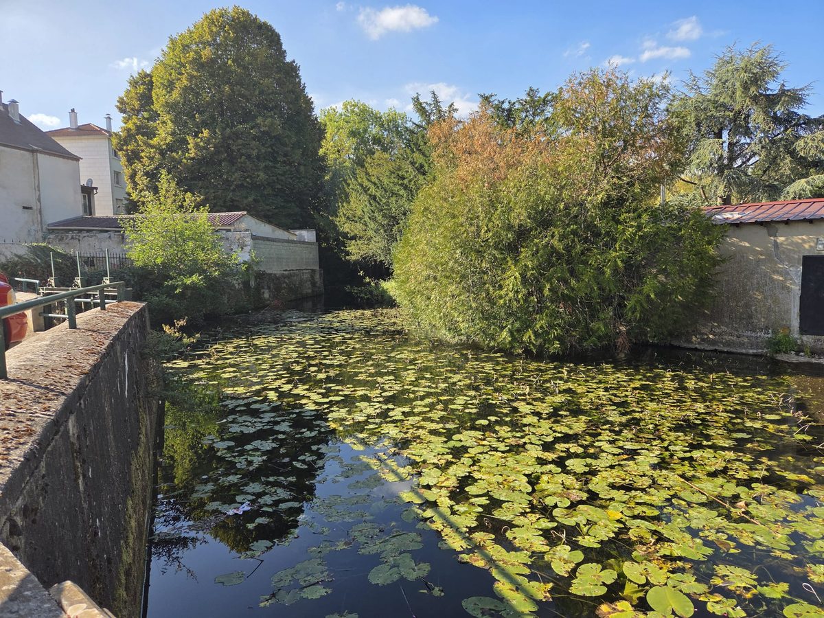 La Marsange, la rivière voisine